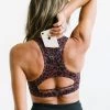 Maven Thread Power Sports Bra - Cheetah | MT SPORT